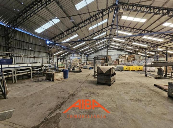 Bodega-Galpón · 20000m²