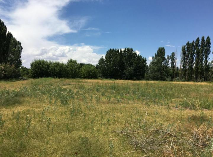 Terreno · 11000m²