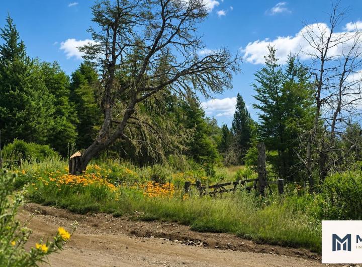 Terreno · 2500m²