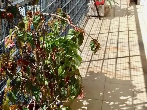 Departamento en Venta en Cordoba, Capital