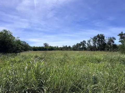 Campo en Venta en Leales, Tucumán