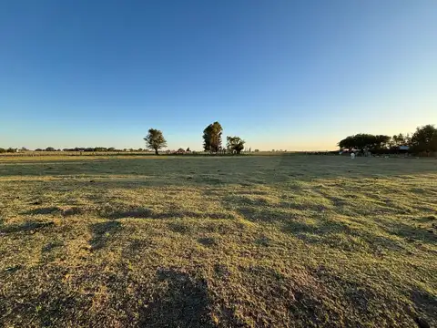Campo en Venta en Winifreda, Conhelo
