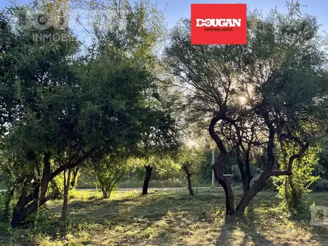 Terreno en Venta en Merlo, Junín