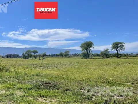 Terreno en Venta en Merlo, Junín