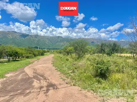 Terreno en Venta en Cortaderas, Chacabuco