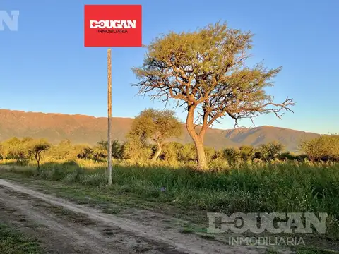 Terreno en Venta en Carpintería, Junín
