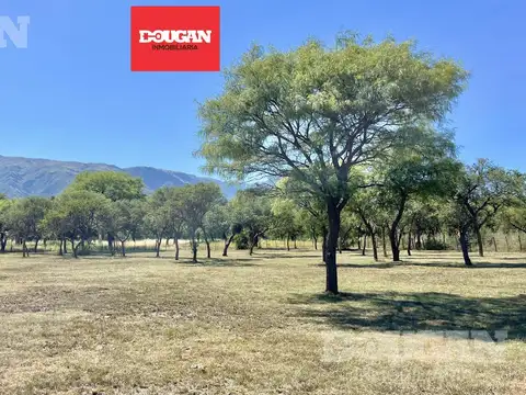 Terreno en Venta en Los Molles, Junín