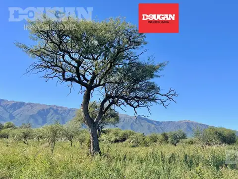 Terreno en Venta en Carpintería, Junín