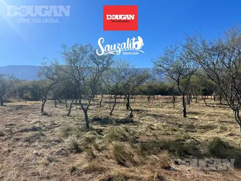 Terreno en Venta en Merlo, Junín