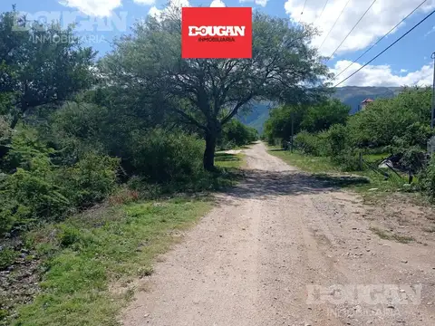 Terreno en Venta en Carpintería, Junín