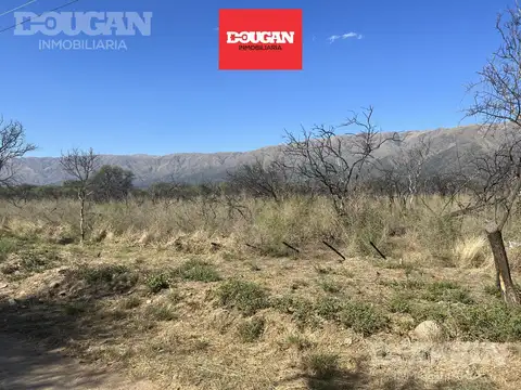 Terreno en Venta en Carpinteria, Junín