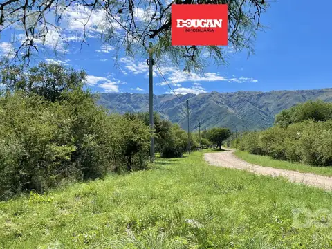 Terreno en Venta en Carpintería, Junín