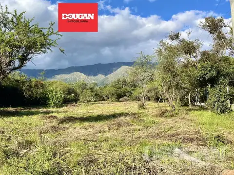 Terreno en Venta en Carpintería, Junín