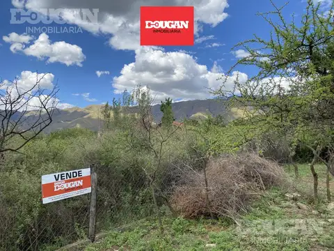 Terreno en Venta en Merlo, Junín