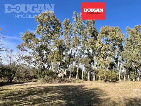 Terreno en Venta en Merlo, Junín