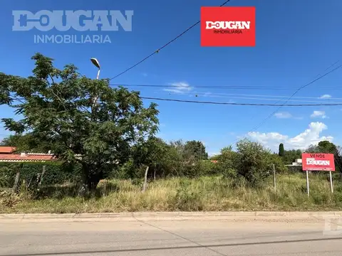 Terreno en Venta en Pellegrini, Merlo