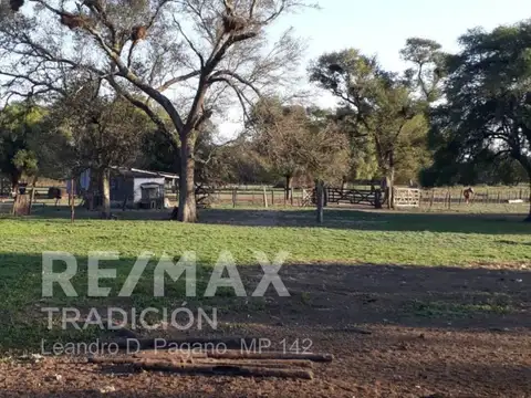 Campo en Venta en La Sabana, Tapenagá