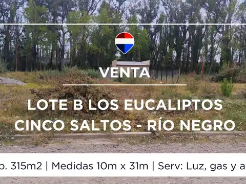 Terreno en Venta en Cinco Saltos, General Roca