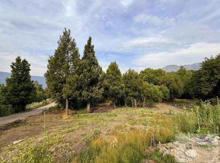 Terreno · 1000m²