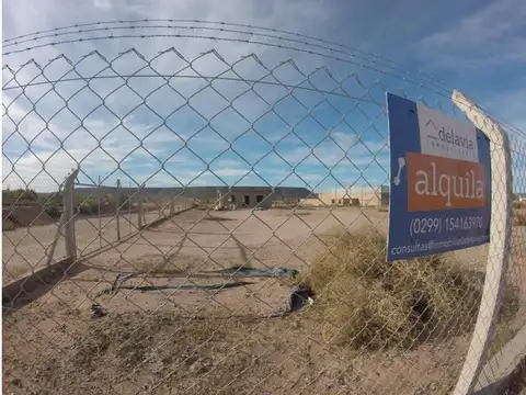 Terreno en Alquiler en Rincón de los Sauces, Pehuenches