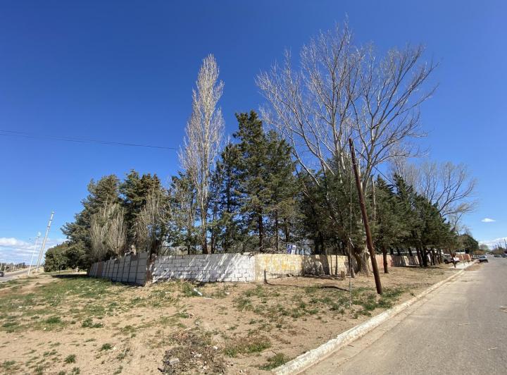 Terreno · 4200m²