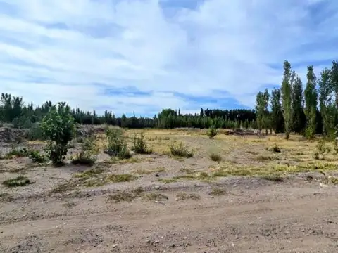 Terreno en Venta en Plottier, Confluencia