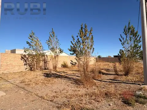 Terreno en Venta en Plottier, Confluencia