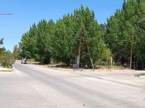 Terreno en Venta en Plaza Huincul, Confluencia