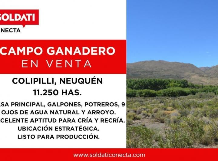 Campo · 112500000m²