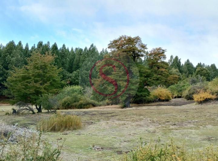 Terreno · 1200m²
