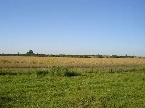 Campo en Venta en Mojones Norte, Villaguay