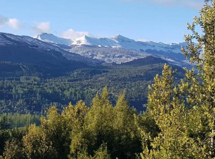 Terreno · 2333m²