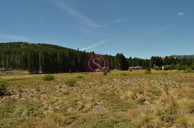 Terreno · 2500m²