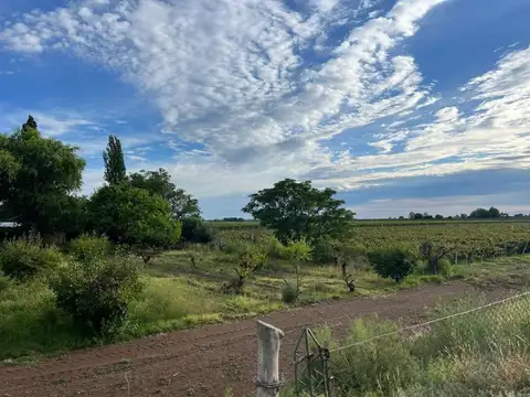 Campo en Venta en Chapanay, San Martín