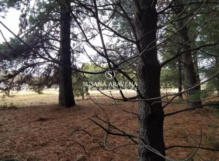 Terreno · 1500m²