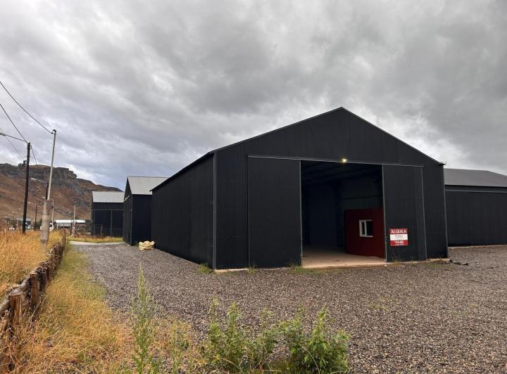 Bodega-Galpón · 250m²