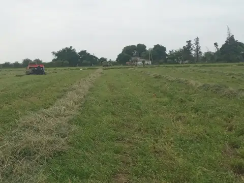 Campo en Venta en Villa de Soto, Cruz del Eje
