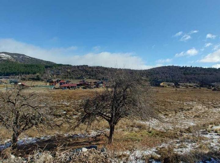 Terreno · 1598m²
