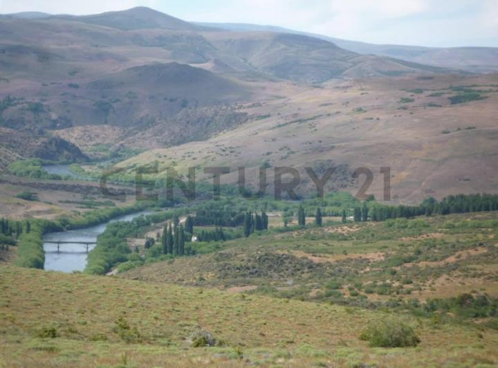 Campo · 40000m²