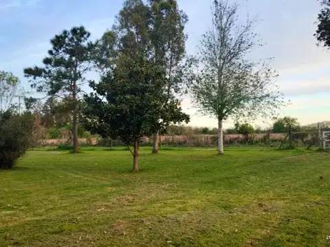 Terreno en Venta en Oliveros, Iriondo