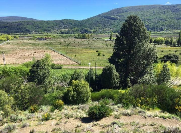 Terreno · 1596m²