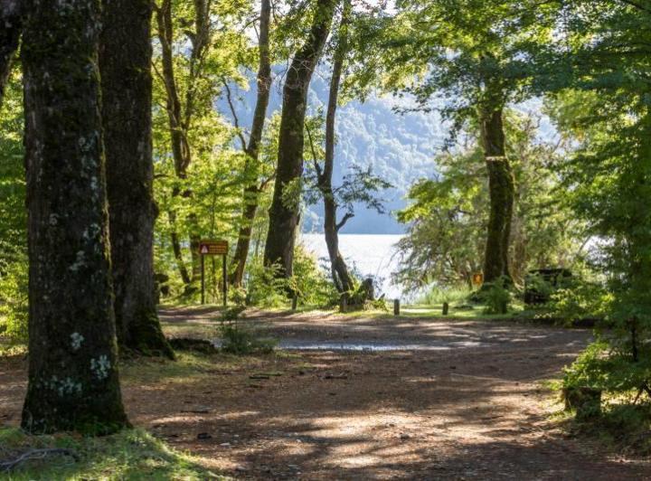 Campo · 10000m²