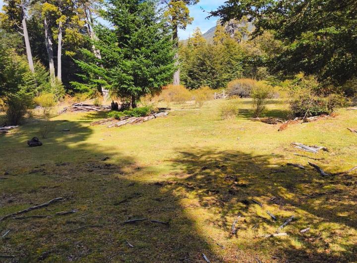 Campo · 700000m²