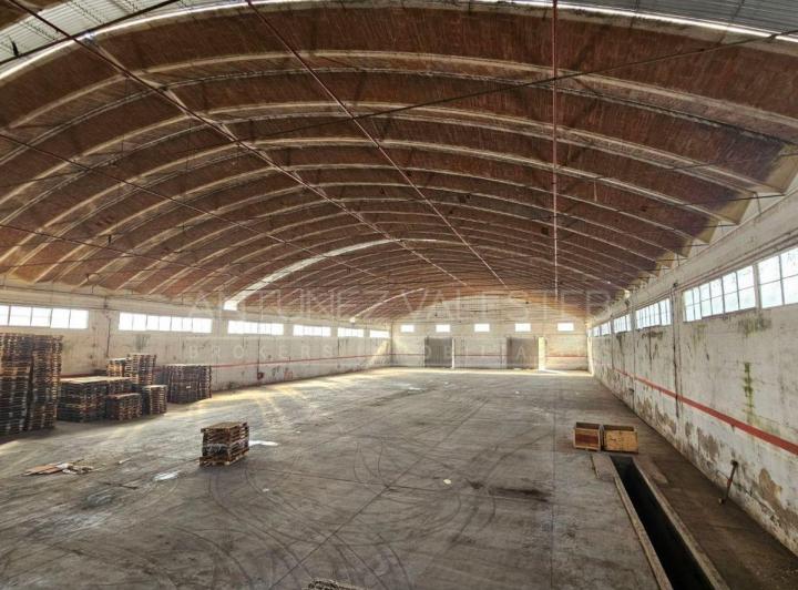 Bodega-Galpón · 2500m²