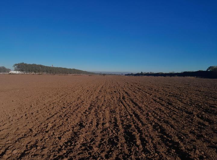 Terreno · 40000m²