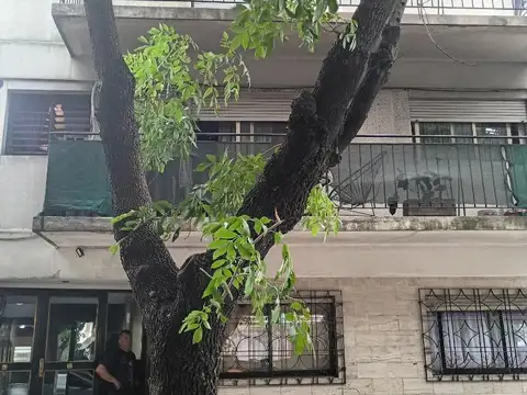 Departamento en Venta en Versalles, Capital Federal