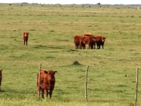 Campo en Venta en Paragüil, Partido de Laprida