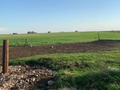 Campo en Venta en Líbano, Partido de General La Madrid