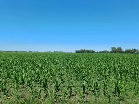Campo en Venta en Lisandro Olmos Etcheverry, Partido de La Plata