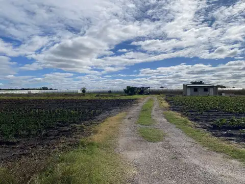 Campo en Venta en Arana, Partido de La Plata